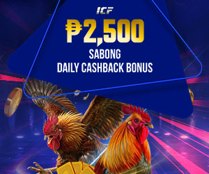 M3_PHP_COCKFIGHT_DCB_SEO_MS_Sidebar
